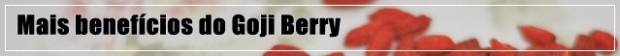 Goji Berry emagrece?